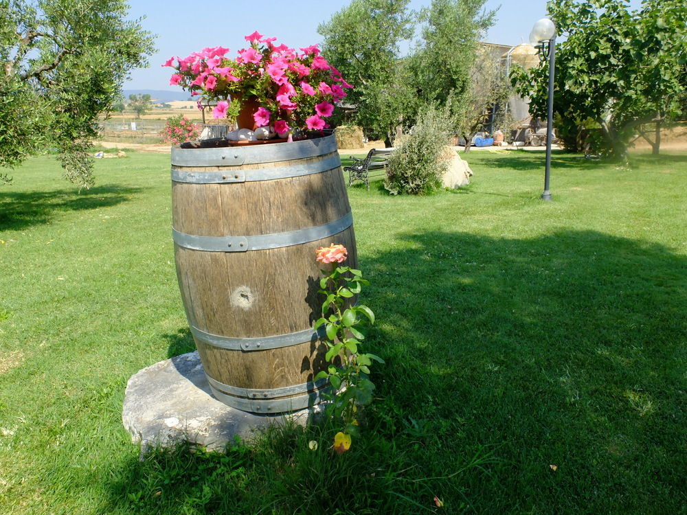Agriturismo Al Girasole San Donato  Buitenkant foto